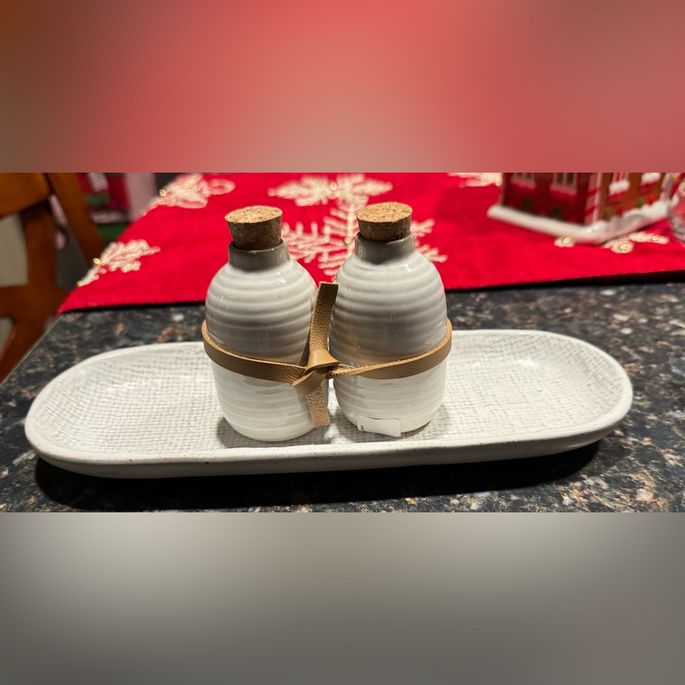 Elegant Gray Ceramic Shaker Set with Tray